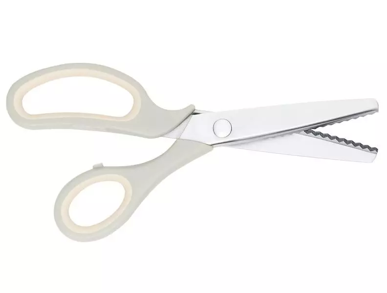 Daily Big Size Scissors