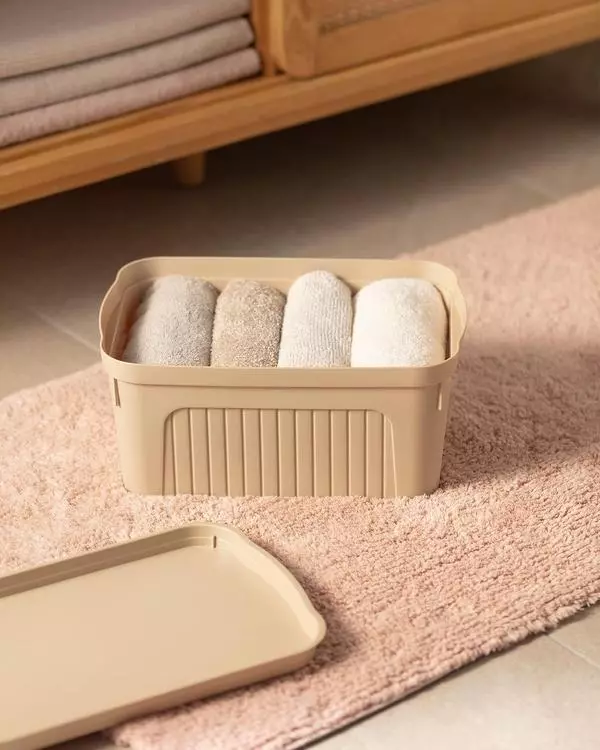 Densy Box With Lid 8 Lt