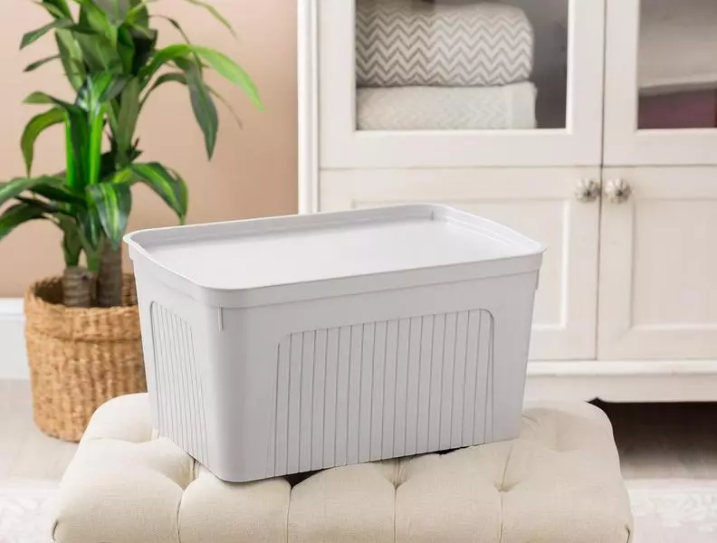 Densy Box With Lid 27 Lt