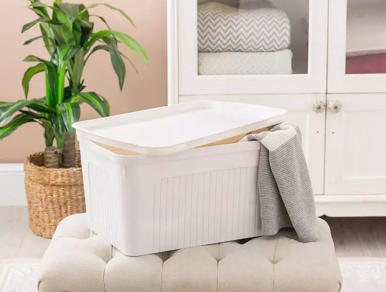 Densy Box With Lid 27 Lt