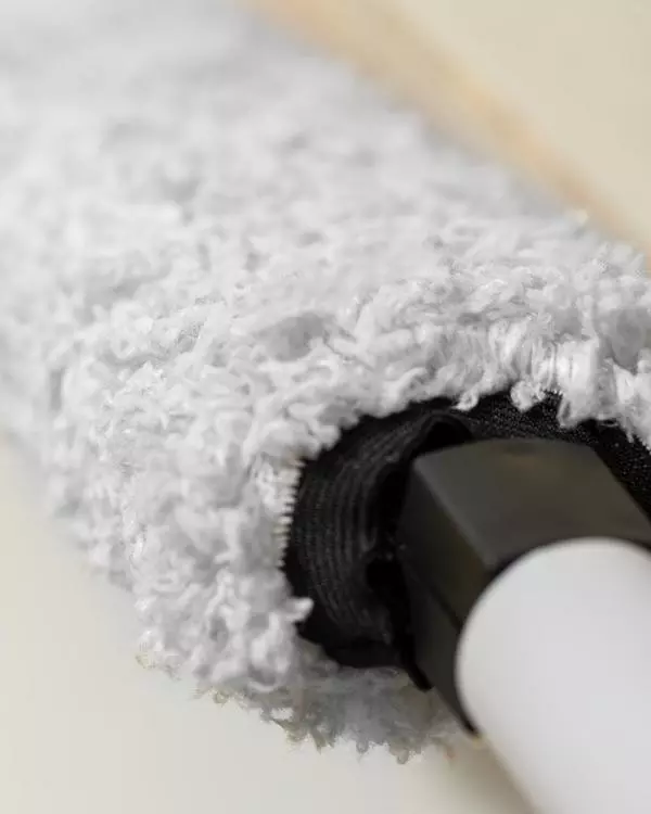 Benara Dust Brush