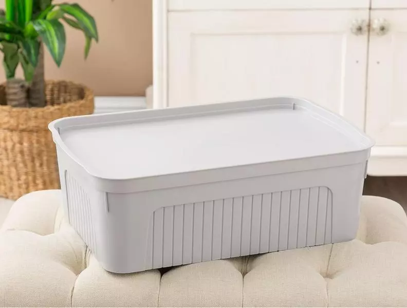Densy Box With Lid 17 Lt