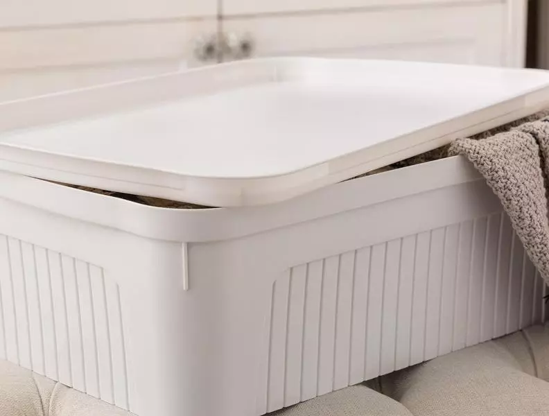 Densy Box With Lid 17 LT