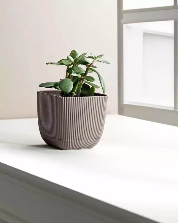 Abella Flower Pot 670 Ml