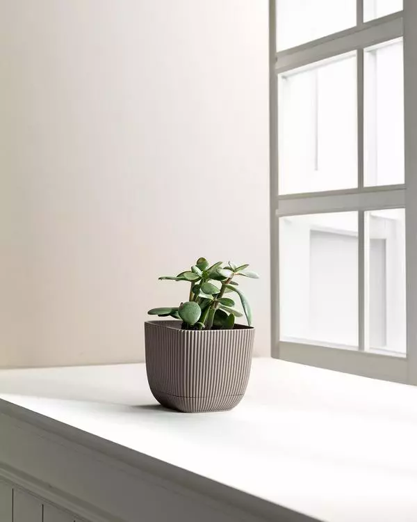 Abella Flower Pot 670 Ml