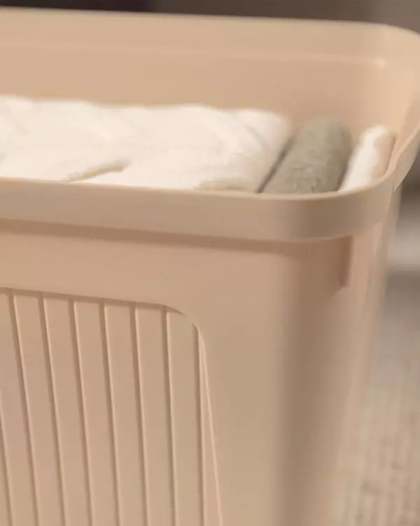 Densy Box with Lid 27 LT
