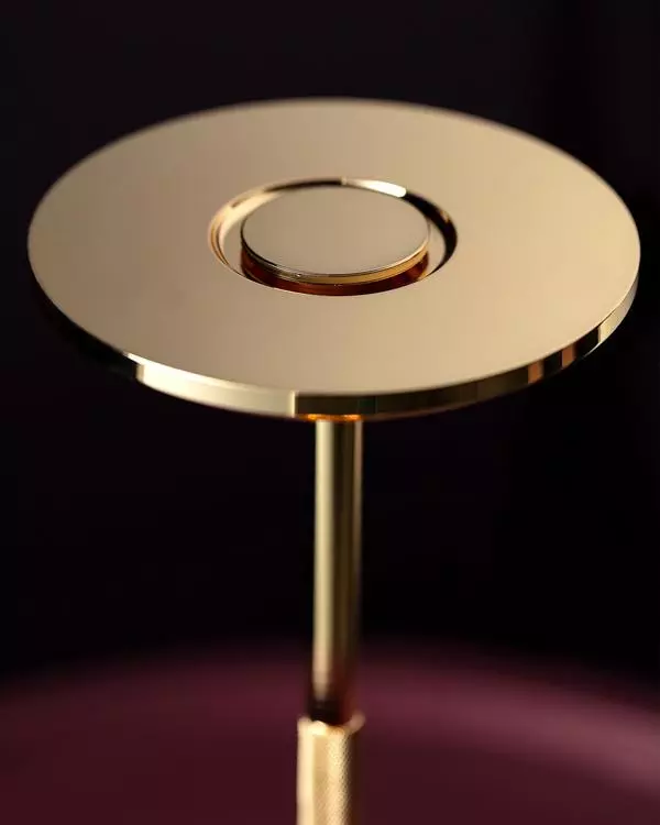 Stern Lampshade