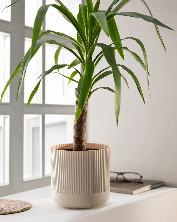 Sanvi Flower Pot 4000 Ml