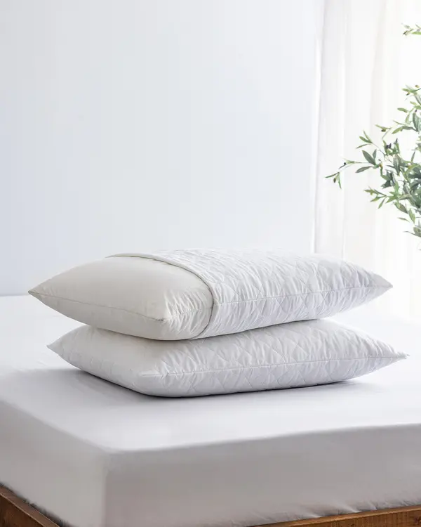 Crispy 2-Pack Cotton Quilted Pillow Protector