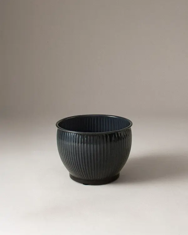 Palmier Flowerpot